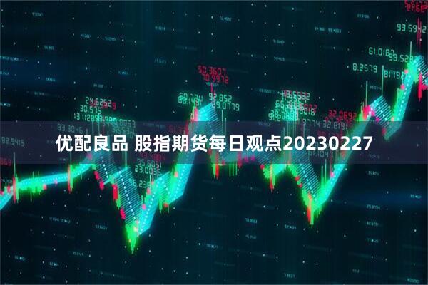 优配良品 股指期货每日观点20230227