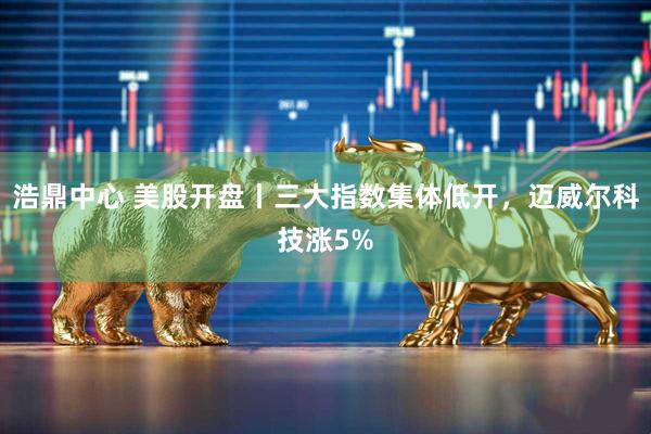 浩鼎中心 美股开盘丨三大指数集体低开，迈威尔科技涨5%